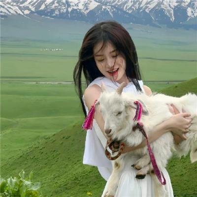 绝望写手第三季